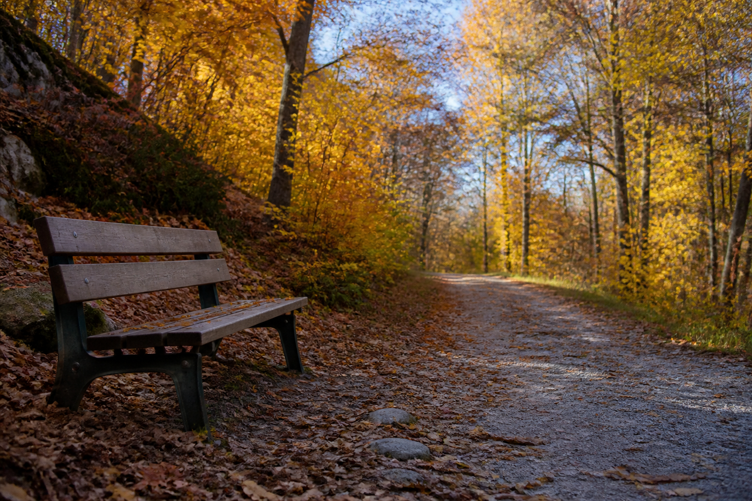 solitude vs loneliness — a quiet trailhead bench in autumn, the kind of solitude someone chooses